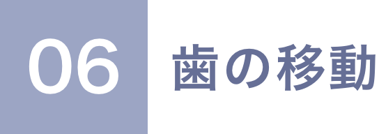 06 歯の移動